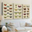 Histoire Naturelle Butterflies I - Toile tendue avec châssis sur mesure - 3 pièces-492191432