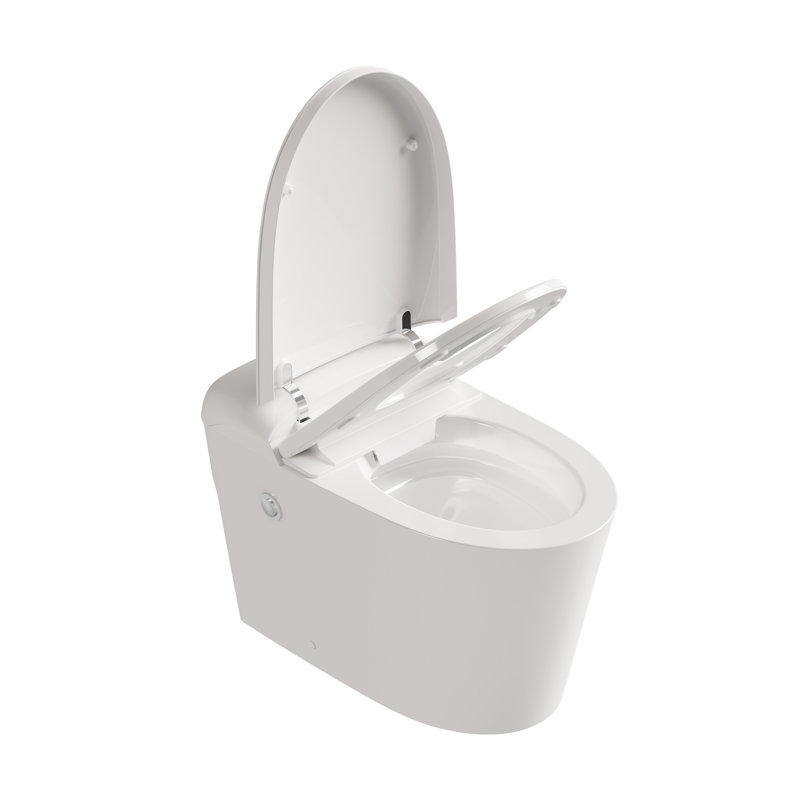 Toilette allongée blanche en céramique blanche avec pompe à eau intégrée et chasse à bouton-poussoir