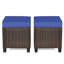Ben-Charles 2 Pieces Outdoor Ottoman with Removable Cushion-1085466493