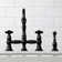 Duchess Double Handle Kitchen Faucet with Side Spray