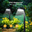 Éclairage solaire de sentier extérieur, 12 lumières solaires à DEL plus lumineuses et imperméables, éclairage de chemin moderne jusqu'à 12 heures pour allée de jardin, allée, blanc froid
