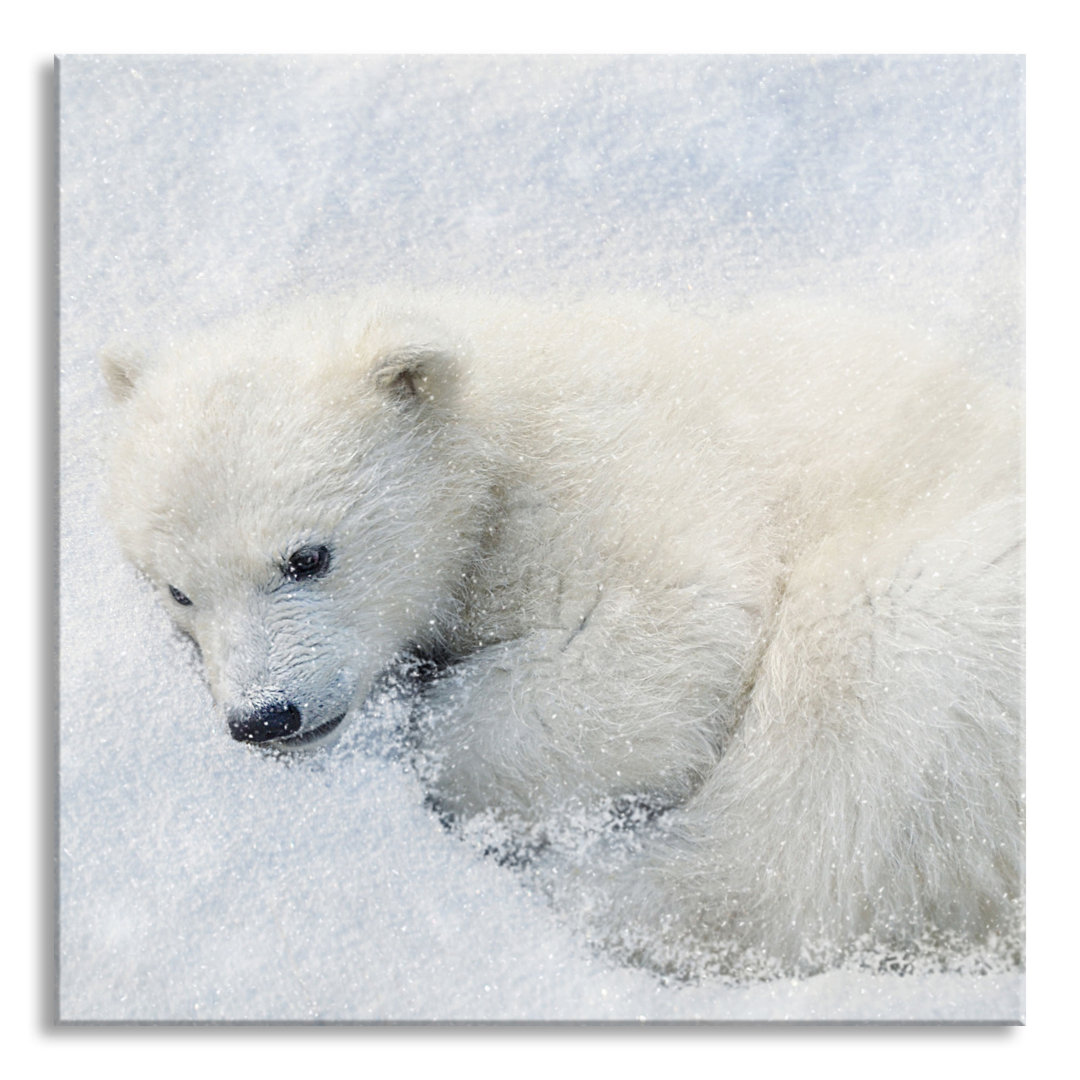 Glasbild Eisbär im Schnee