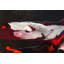'Cherry Cola' - Wrapped Canvas Painting Print