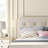 Classic Button-Tufted Upholstered Platform Bed with 2 Drawers and Trundle-1899688296
