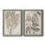 Sépia plantes exotiques V - ensemble de 2 reproductions de dessins encadrés-2014975469-2014975457
