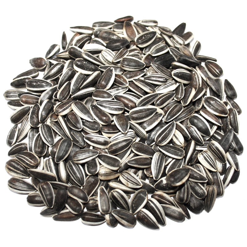 Amillianna Sunflower Seeds Bird Seed
