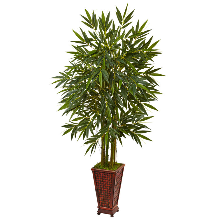 66'' Faux Bamboo Tree in Wood Planter