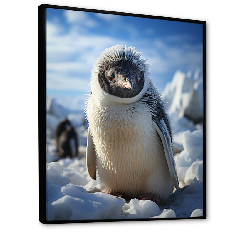 «Ivola Penguin Adorable Penguin II», reproduction sur toile, H 32 po x l 24 po x P 1 po, Cadre flottant noir