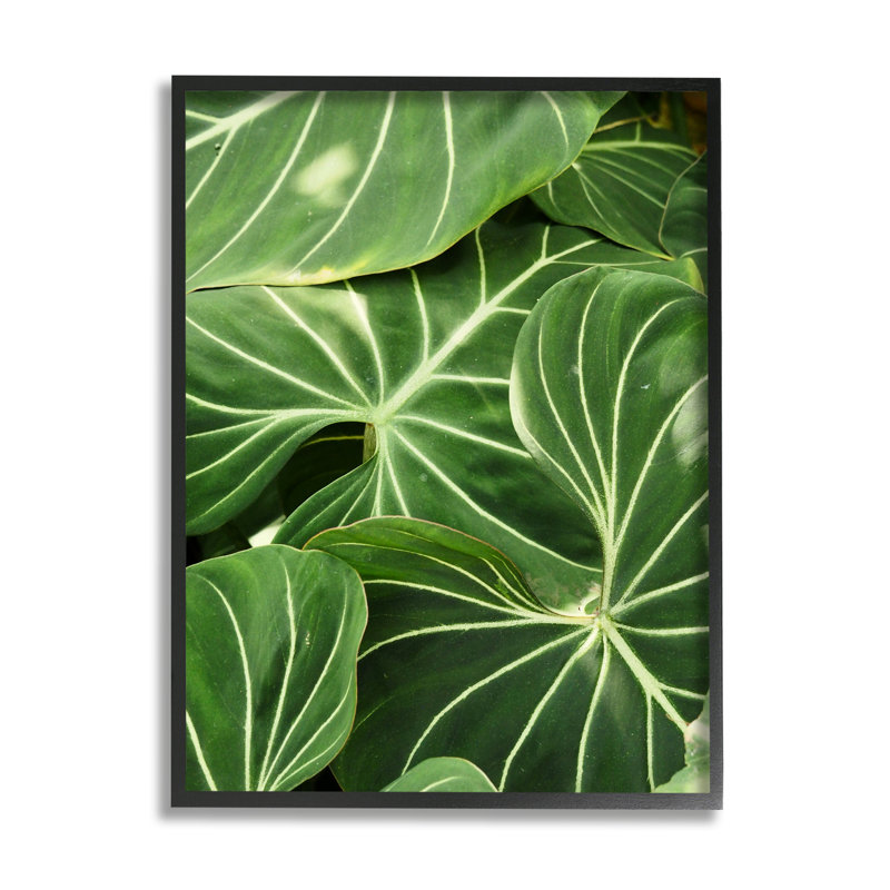 Végétale luxuriante à feuilles vertes, Giclée encadrée noir minuit, H 14 po x l 11 po x P 1,5 po