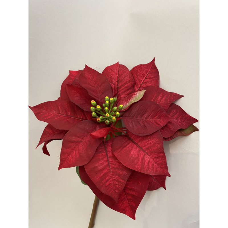 TIGE DE POINSETTIA D'ASPECT NATUREL, 30" H x 5" W