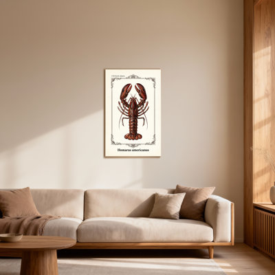 Animals Lobster Illustration North Atlantic Homarus Americanus Vintage Frame