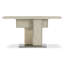 Laren 62'' W Console Table