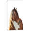 « large brown cheval illustration », reproduction de photo sur toile tendue-19239128-33322749