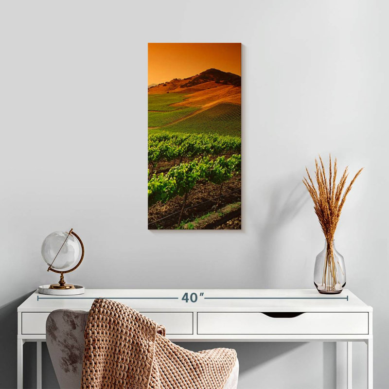 Carneros Vineyard Twilight, H 24 po x l 12 po