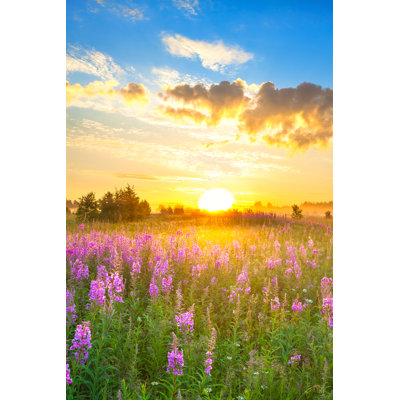 Amazing Rural Landscape - Wrapped Canvas Print