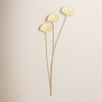 Quinlan Wire Allium Bud Arrangement