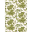 Coconut Grove Wallpaper-21375418