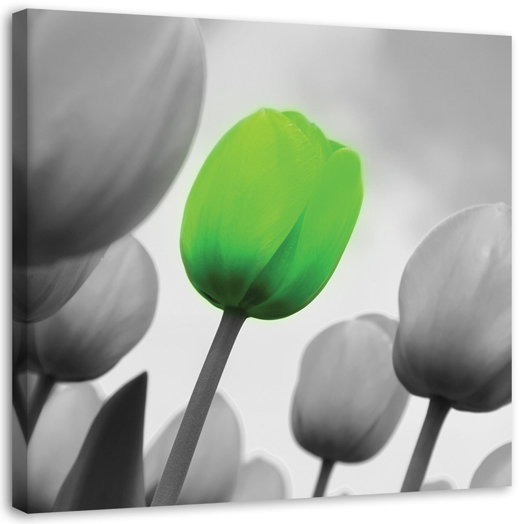 Leinwandbild Green tulip