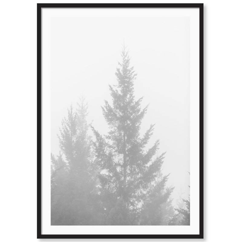 Black And White Redwoods 1 Print by Carly Tabak, Black Wood, 31" W x 44" H