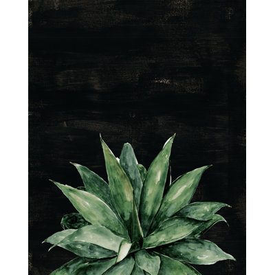 Succulent with Black Background - Painting Print