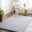 Striped Area Rug-961345738-984563787