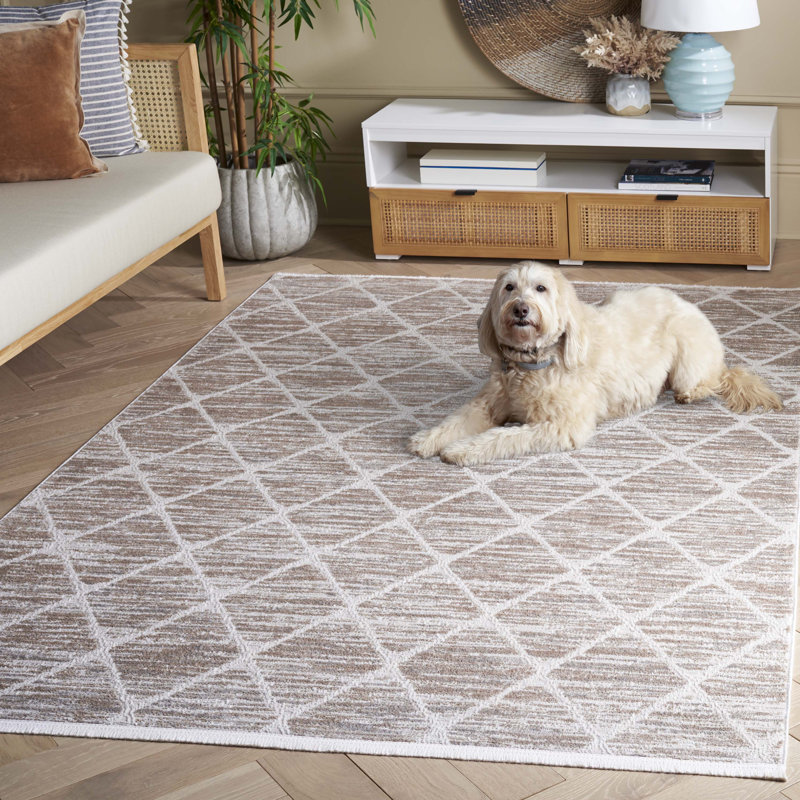 Tapis géométrique Rosalba Performance, Rectangle 5 pi 3 po x 7 pi 6 po