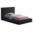 Issaias Upholstered Panel Storage Bed-88359533-88359536