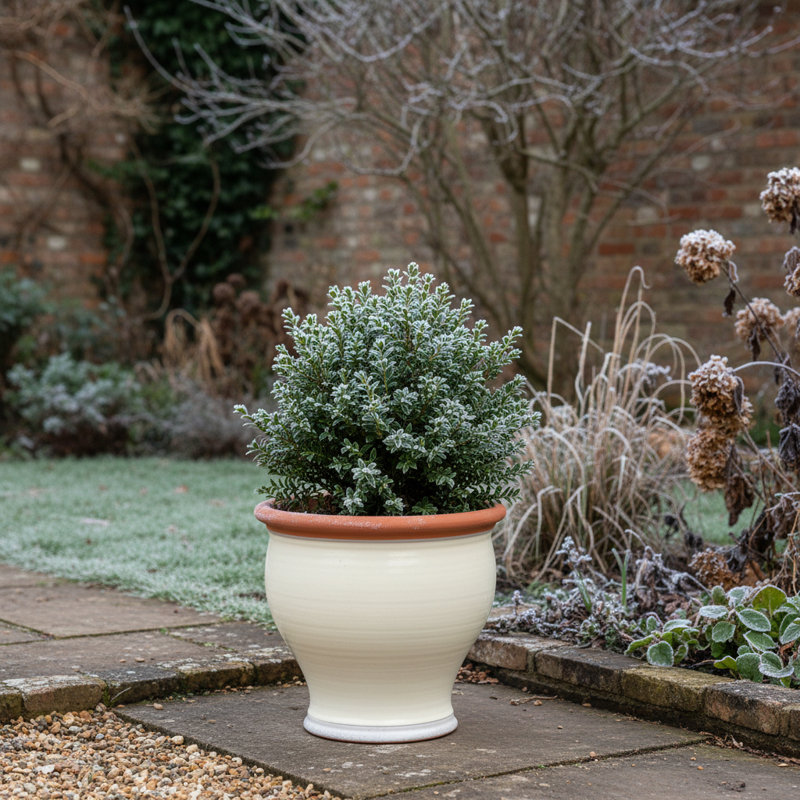 Bellied Planter  , Cream/Orange, 28" H x 33.5" W x 33.5" D