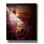 «Flowers» par Mario Sanchez Nevado - Impression sur toile-25517050