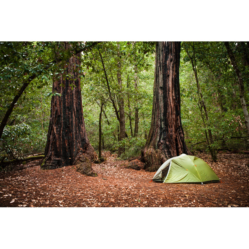 Redwood Campsite by GaryKavanagh - Wrapped Canvas Print, 81cm H x 122cm W x 3.8cm D