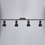 Aleezay 36'' 4 -Light Fixed Track Track Kit with Dimmable and Adjustable Head