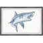 Cimino «Biting Shark», reproduction encadrée-607241308