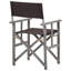 Adreanna Folding Director Chair-1458030710-1458030711