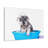 Cute Schnauzer Bath Canvas Wall Art-1210609286