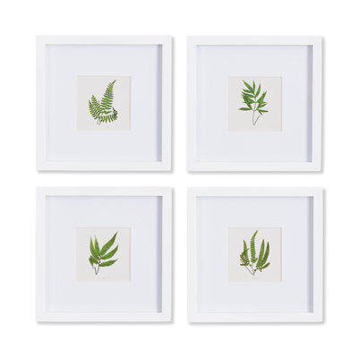 Forest Greenery Petite