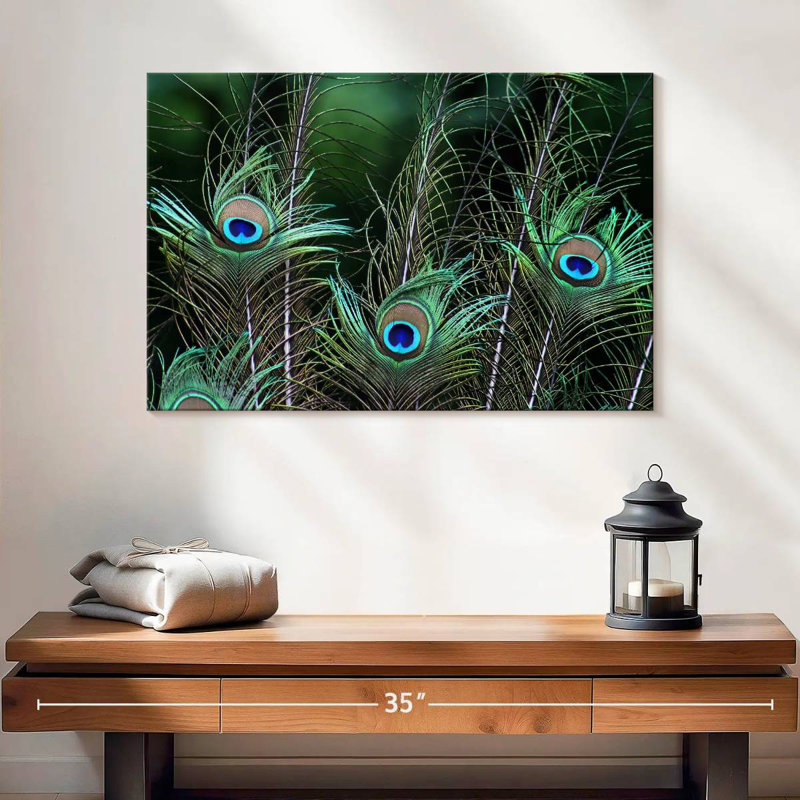 Ornate Peacock Feathers, 16" H x 24" W