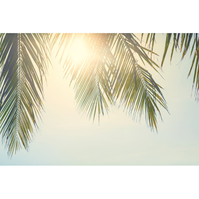 Palm leaves against sunset, 81cm H x 122cm W