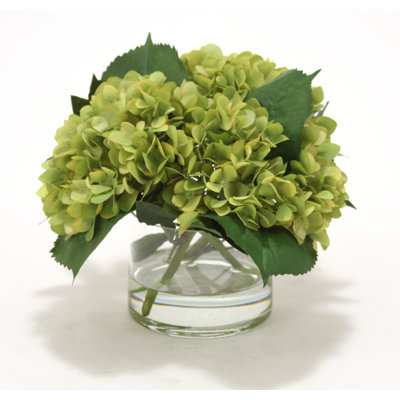 Hortensias, feuilles de laurel dans un cylindre en verre