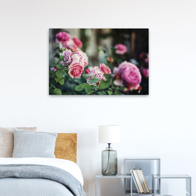 Plants, Flowers, Scotland Roses II Wall Art, 24" H x 36" W