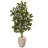 53'' Faux Ficus Tree in Earthenware Planter