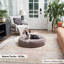 Lit pour chien Buckhead-102075528-102075530