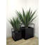 Fausse agave botanique au fini vert-1972928994