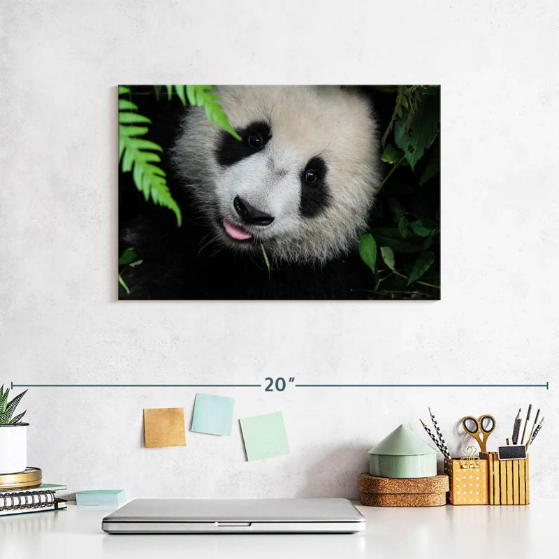 Panda Surprise, 20" H x 30" W