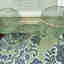 Photos des clients 1 de 1