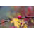 Teardrop On A Branch - Wrapped Canvas Print-1741282958