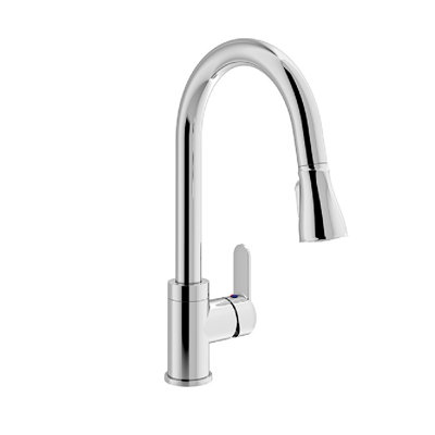 Identity Single Handle Pull-Down Sprayer Kitchen Faucet