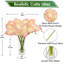 Arrangement in Vase-1590557539