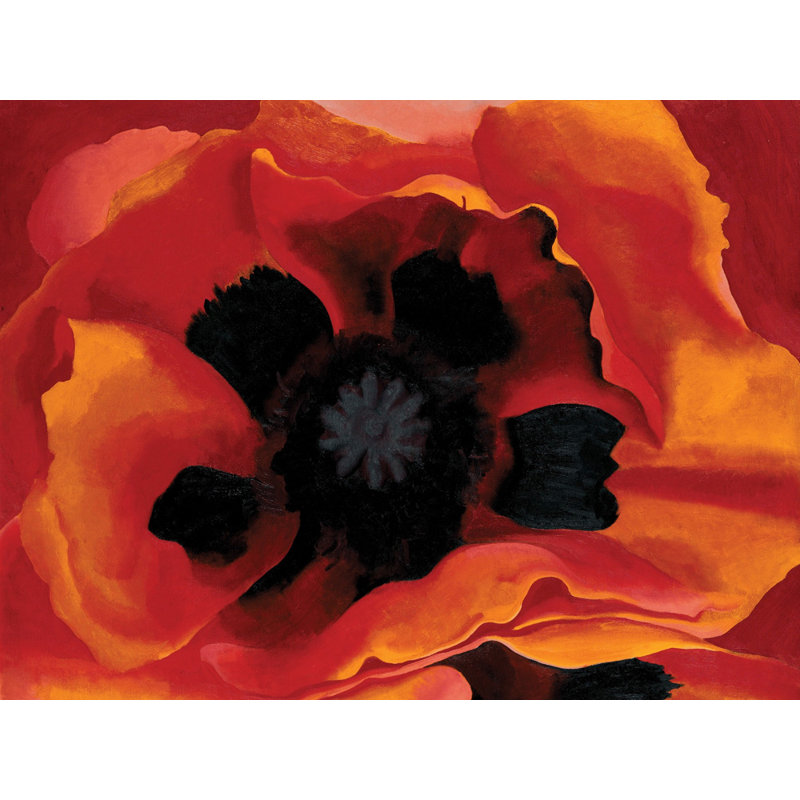 Coquelicot 2