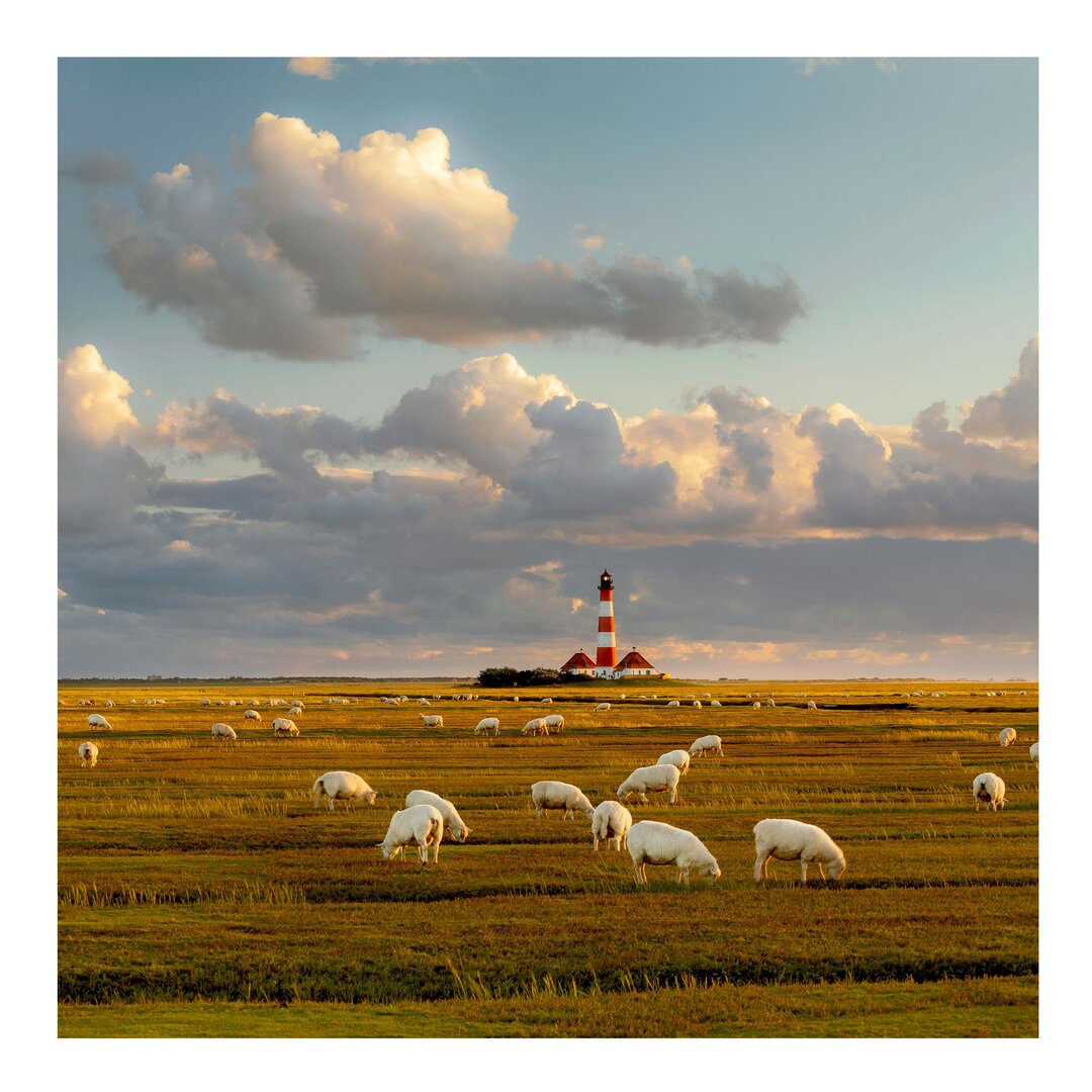 Seidenmatte Fototapete Lighthouse at the North Sea with a Flock of Sheep