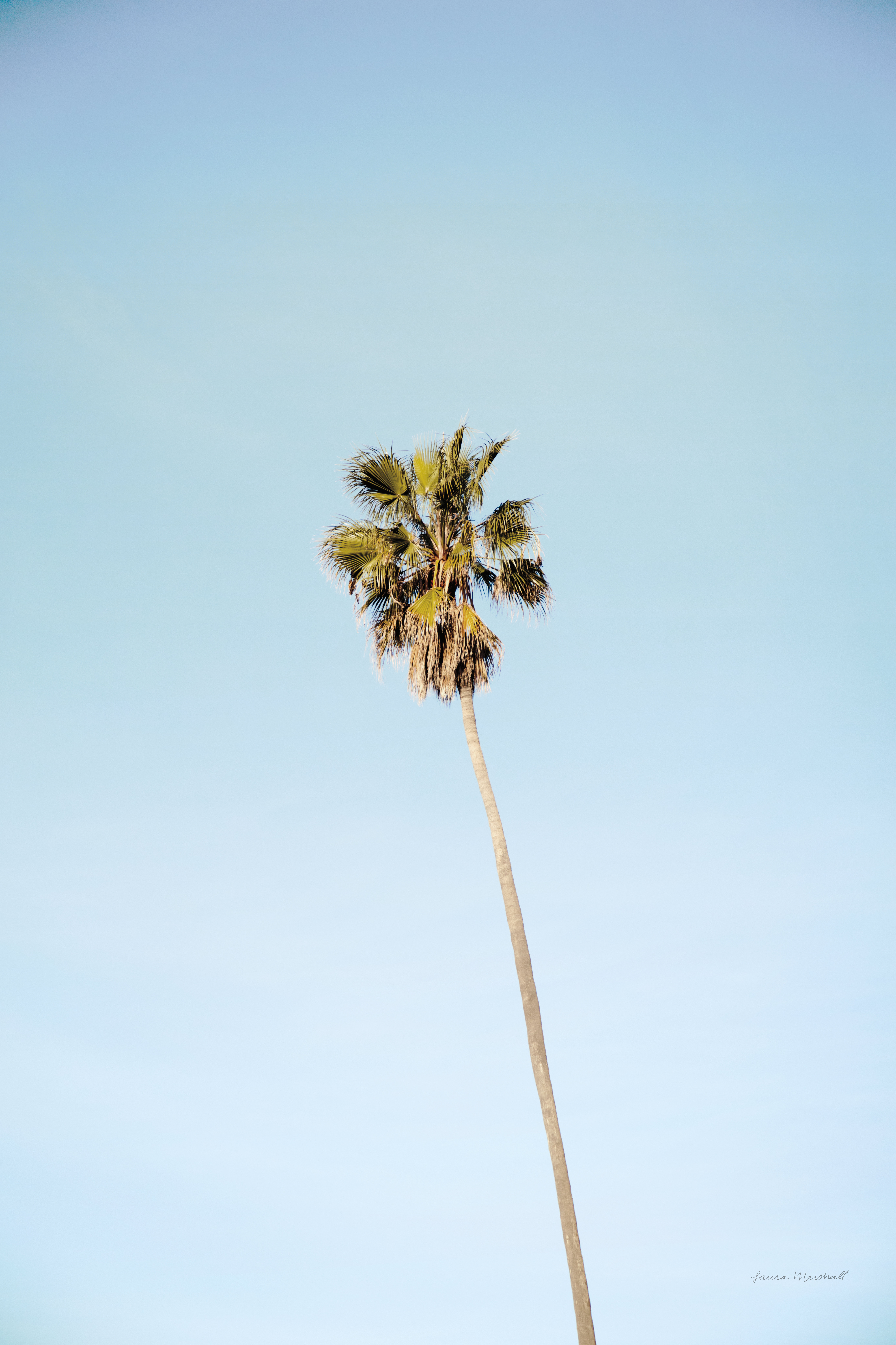 Sansibar Home Summer III by Laura Marshall - Wrapped Canvas Photograph ...